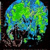 Base Reflectivity image from Fort Dix