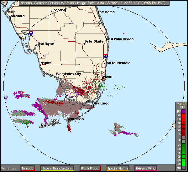 Exodus out of Florida Badbirdz Reloaded