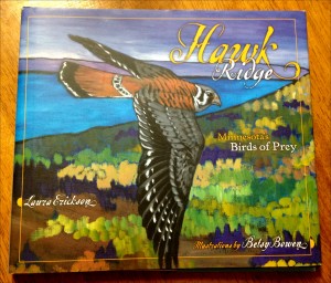 Book cover for Hawk Ridge: Minnesota's Birds of Prey