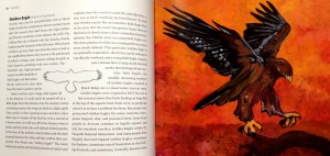 Golden Eagle by Betsy Bowen Golden Eagle by Betsy Bowen