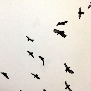 Raptor silhouettes by Betsy Bowen