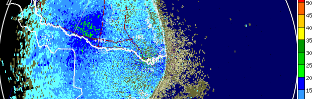 Woodcreeper On The Road: Galveston Featherfest